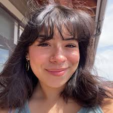 Dealing with mice infestation in rental property?