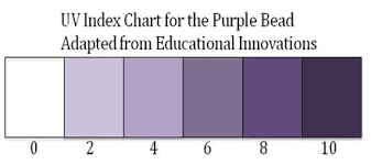 Uv Bead Extension Chart Students Were Encouraged To Use