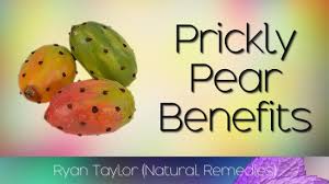 Cactus fruit is rich in betanin, polyphenols and other potent antioxidants that support liver health, protect against heart disease and reduce inflammation. Prickly Pear Benefits Uses Cactus Fruit Fruit Benefits Pears Benefits Prickly Pear