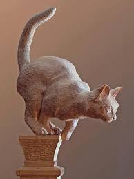Wood Sculpture Dileon Di Morrow Facebook Animal Sculptures Sculpture Wood Sculpture