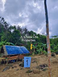 JL's New Life Properties added...