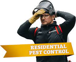 Contact us for a pest control & exterminator estimate! Rochester Ny Pest Control Exterminator Company Town Country Pest