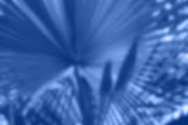 Business Process Management Initiative Bpmi In 2020 Service Level Agreement Unified Communications Business Process Management