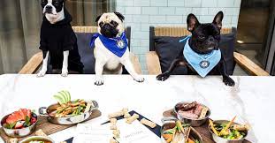 16 Top Dog-friendly Restaurants And Bars In Nyc - Eater Ny