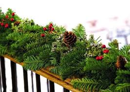Pine oil, also called pine nut oil, is derived from the needles of the pinus sylvestris tree. Christmas Scents Make Your House Smell Like The Holidays Bob Vila