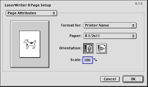 Contains the printer driver (xps) for windows, the printer driver for the mac os, screen fonts, and the twain driver. Setting Items In The Printer Driver