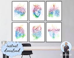 6 Anatomy Print Set Clinic Decor Anatomical Organs Medical Art Etsy Medical Art Lungs Art Print Sets