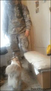 They are reported to have various health benefits such as improving. On The Shelves At Homewood Public Library A Few Of The Amazing Things You Ll Find At Your Local Public Library