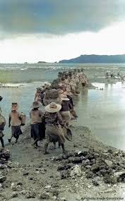 1961年6月23日 沖縄の与那城村にて 政府払い下げのブルドーザー1台を頼りに進められる海中道路の建設工事 沖縄 写真 沖縄 戦前