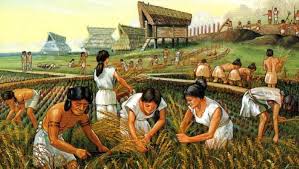 The First Whole Genome Analysis Of Ancient Human Dna From Southeast Asia Defined As The Area East Of India And Sou Neolithic Revolution Yayoi Period Neolithic