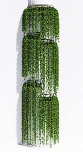 Round Box Ivy 3d Model In 2020 Inside House Plants Hanging Plants Hanging Plants Outdoor