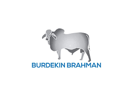 Zebu or humped cattle or brahman cattle, vintage engraved illustration. Entry 20 By Aminila For We Sell Brahman Bulls And Want To Create A Logo For Our Business Named Burdekin Brahmans Something That Represents Our Business Our Bulls Are Bred