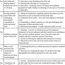 The plant cell is the functional unit of life. Pdf What Do Cells Really Look Like An Inquiry Into Students Difficulties In Visualising A 3 D Biological Cell And Lessons For Pedagogy