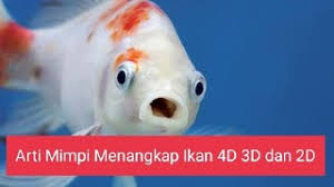 Arti Mimpi Menangkap Ikan 4d 3d Dan 2d Youtube