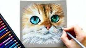 Painting, photography, line drawing & more. How To Draw Animal Eyes With Soft Pastels Paintingtube