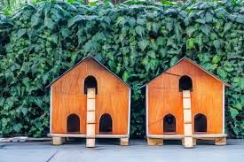 See more ideas about cat patio, outdoor cat enclosure, cat enclosure. 5 Best Outdoor Cat Houses For Shelter Against The Weather Tuxedo Cat