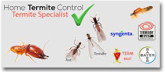 This involves digging a trench around the exterior and filling it up with a top quality liquid termiticide. General Pest Control Tips Pest Management And Termite Prevention