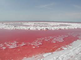 His death would roughly coincide with a period of submersion A Masterpiece Of Land Art Spiral Jetty By Robert Smithson Artsper Magazine