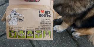 Als u een of meer honden houdt, moet u hondenbelasting betalen. Hondenbelasting Onzin Het Kan Veel Gekker Nu Het Laatste Nieuws Het Eerst Op Nu Nl