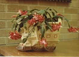 Lucile's flowers & gifts is not only your local flower shop in abilene, tx, but also the perfect place to find different plant varieties. Sewell Photo Collection Manuscripts Personal Papers And Archival Records Abilene Christian University
