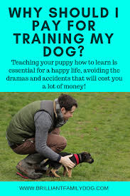 Check spelling or type a new query. Why Should I Pay For Training My Dog Brilliant Family Dog