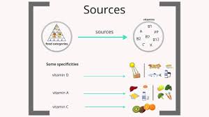 There are two types of nutrients that we need for our survival, micronutrients and macronutrients. Micronutrients Basic Knowledge Youtube