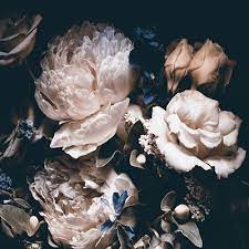 When i think of the american dream i think of a modest home. Pretty Flower Bouquet Iv Digitalprint On Safety Glass 100x100 Cm New