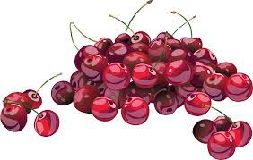 Cherry blossom template, rose cherry blossom, cherry tree branches, flower arranging, violet, textile png. Download Cherries Png Image For Free