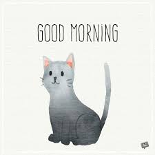 Good Morning Cat Illustration