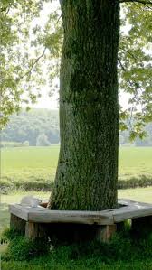 Die Bank Um Den Baum Garten Garten Ideen Gestaltung Vorgarten Banke Garten