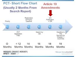 patent cooperation treaty pct amendment response