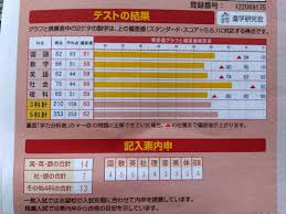 V 模擬 結果