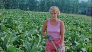 Alien Outlaw (1985) Review With Rifftrax - Cinematic Diversions