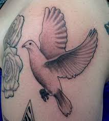 Dove in clouds tattoo designs. Great Dove Pictures Tattooimages Biz