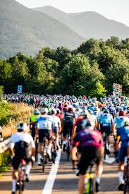 Gema sabando erome Tranny Gem videos.