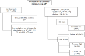 Ultrasound Measurement Learning Of Fetal Sex During The First Trimeste Rrfu