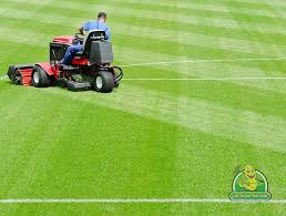 To help you decide i have outlined the different types of lawn aerators below, and explained who they are best suited to. Saskatoon Lawn Mowing Eenie Meenie Miny Mow