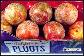 As adjectives the difference between apricot and plum. Apple Pear Quince Loquat Peach Cherry Jujube Olive Avocado Fruit Photos
