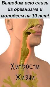 vyvodim vsyu sliz iz organizma i molodeem na 10 let health info health health tips