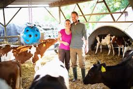 200 Milchkühe, „Bauer sucht Frau“ und die Liebe: Landwirt Arne erzählt |  agrarheute.com
