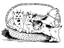 Cuddly cute cats and kittens… Drawing Kitten 18188 Animals Printable Coloring Pages