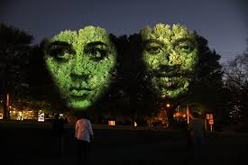 7 Amazing Things to Do This Week in DC (and Beyond)