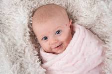 Insight Photographers Ltd