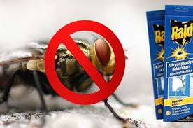 Secvenţă din emisiunea cafeneaua actorilor cu jean constantin şi gelu manolache în sceneta umoristică unde se duc muştele iarna de saşa georgescu. Marile Negre ZboarÄ In CasÄ Cum SÄ Scapi Cum SÄ Scapi De MuÈte Iarna Intr O CasÄ De ÈarÄ