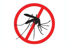 Resultado de imagen para el dengue