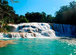 Image result for tbn:xX3UNS9Jgye8JM::www.hoteleseconomicosmexico.com/fotos/chiapas/agua-azul/cascadas-de-agua-azul-chiapas.jpg