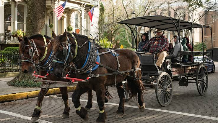 DayTime Private Carriages - Carriage Tours Of Savannah