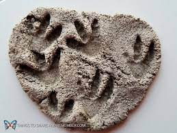 Let the plaster dry for 24 hours. Dinosaur Fossil Clay Recipe Share Remember Celebrating Child Home