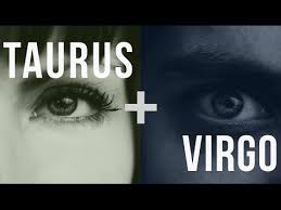 The bond between virgo and taurus falls in the same bracket. Taurus Virgo Love Compatibility Youtube