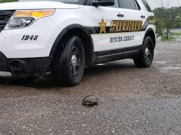Cook county, illinois forest preserve police department. Slowtraffictotheright Hashtag On Twitter